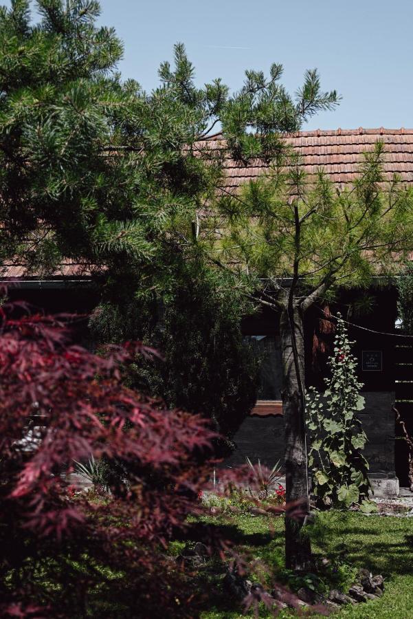 House For Rest Juliet Apartment Velika Gorica Exterior foto
