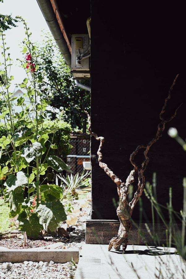 House For Rest Juliet Apartment Velika Gorica Exterior foto