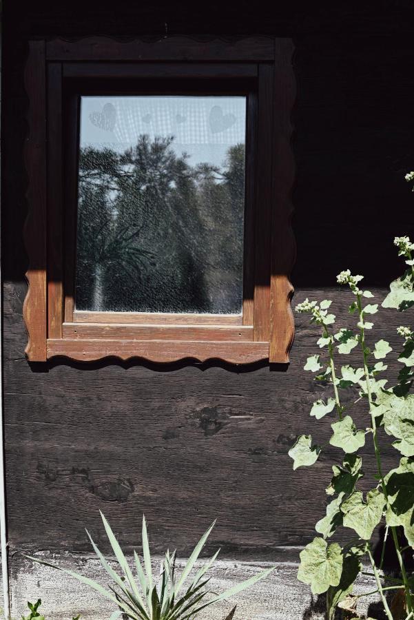 House For Rest Juliet Apartment Velika Gorica Exterior foto